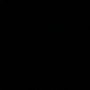 Meet your Posher, Jayden